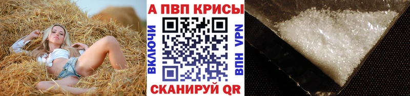 OMG ссылки  Миллерово  A PVP крисы CK 