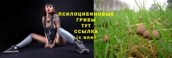 марки nbome Арсеньев
