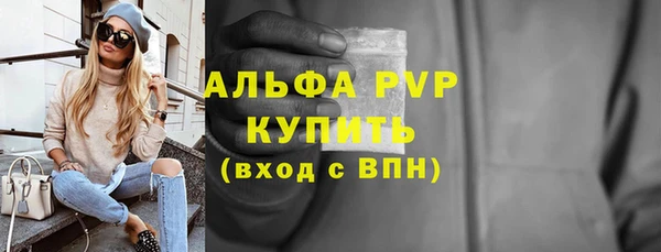 ГАЛЛЮЦИНОГЕННЫЕ ГРИБЫ Осинники